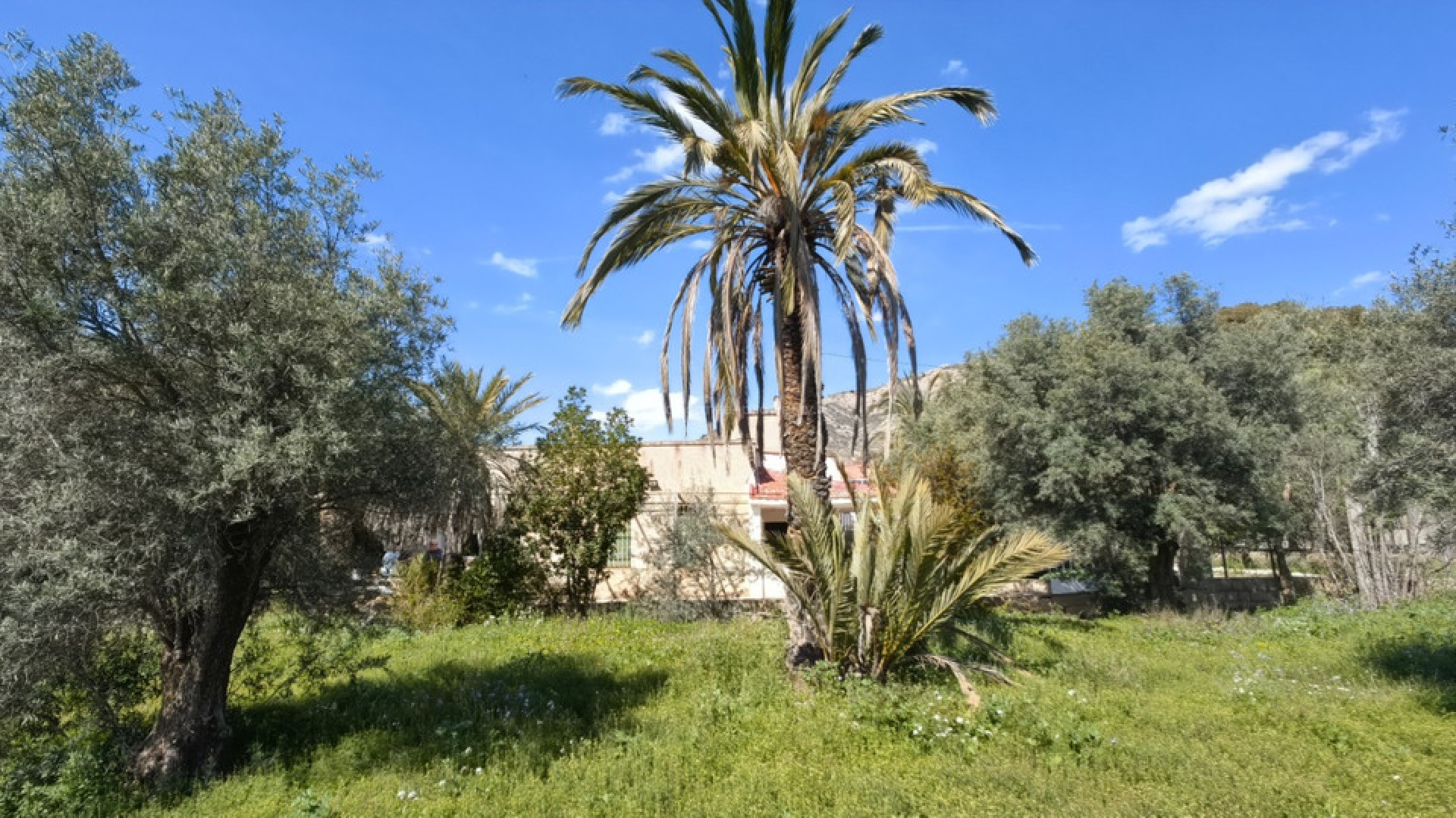 Landsted i Elda Centro