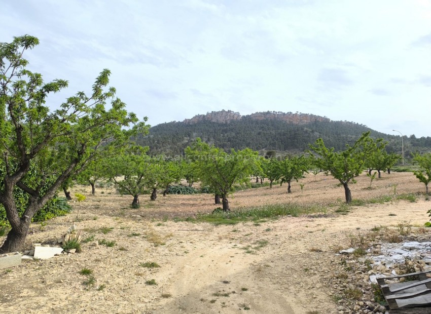 Landsted i Jumilla Centro