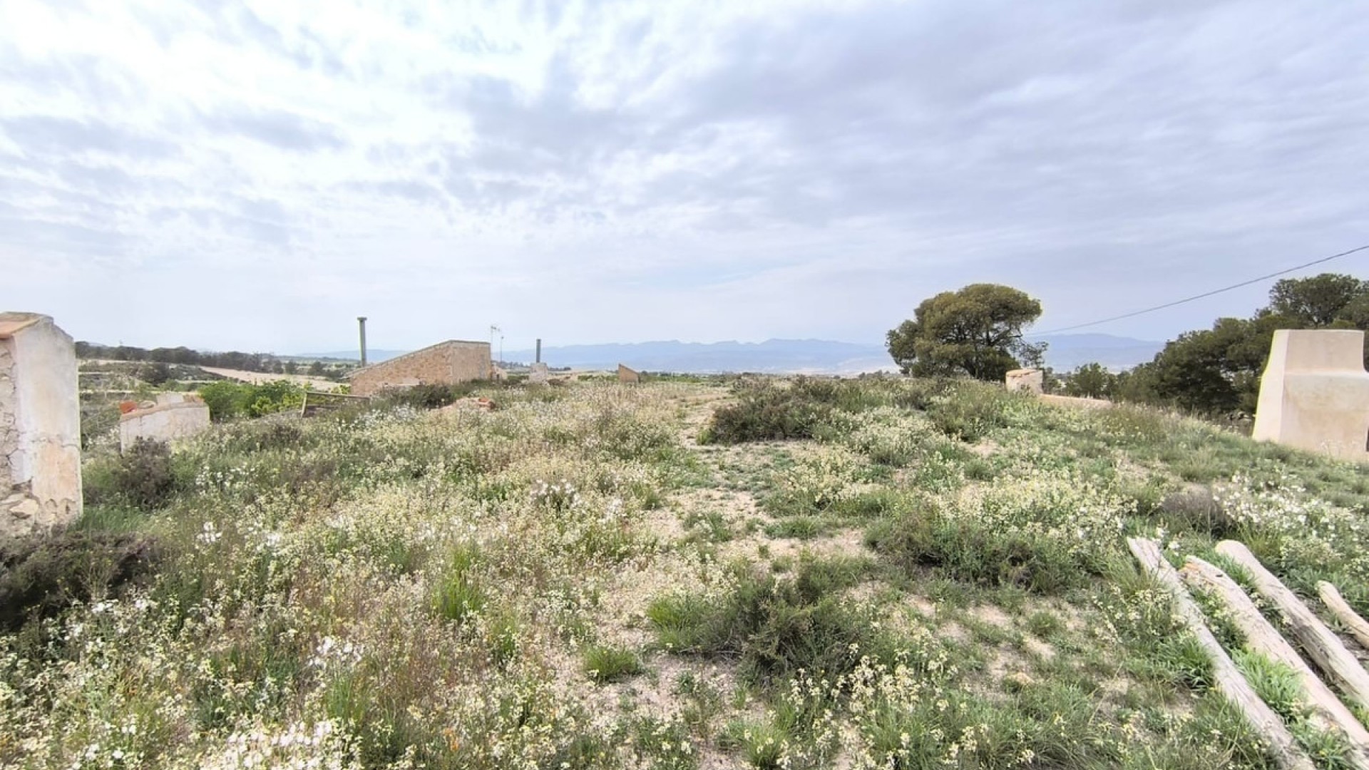 Landsted i Jumilla Centro