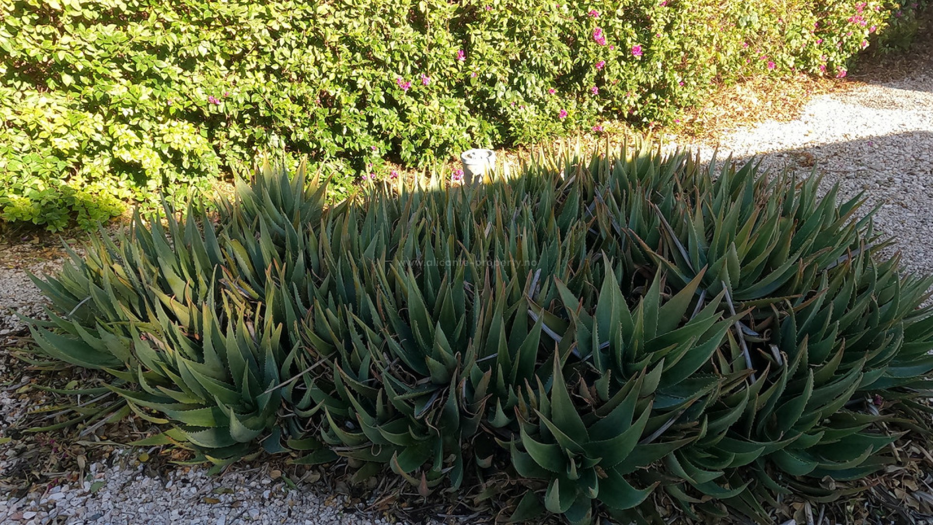 Landsted i La Campaneta