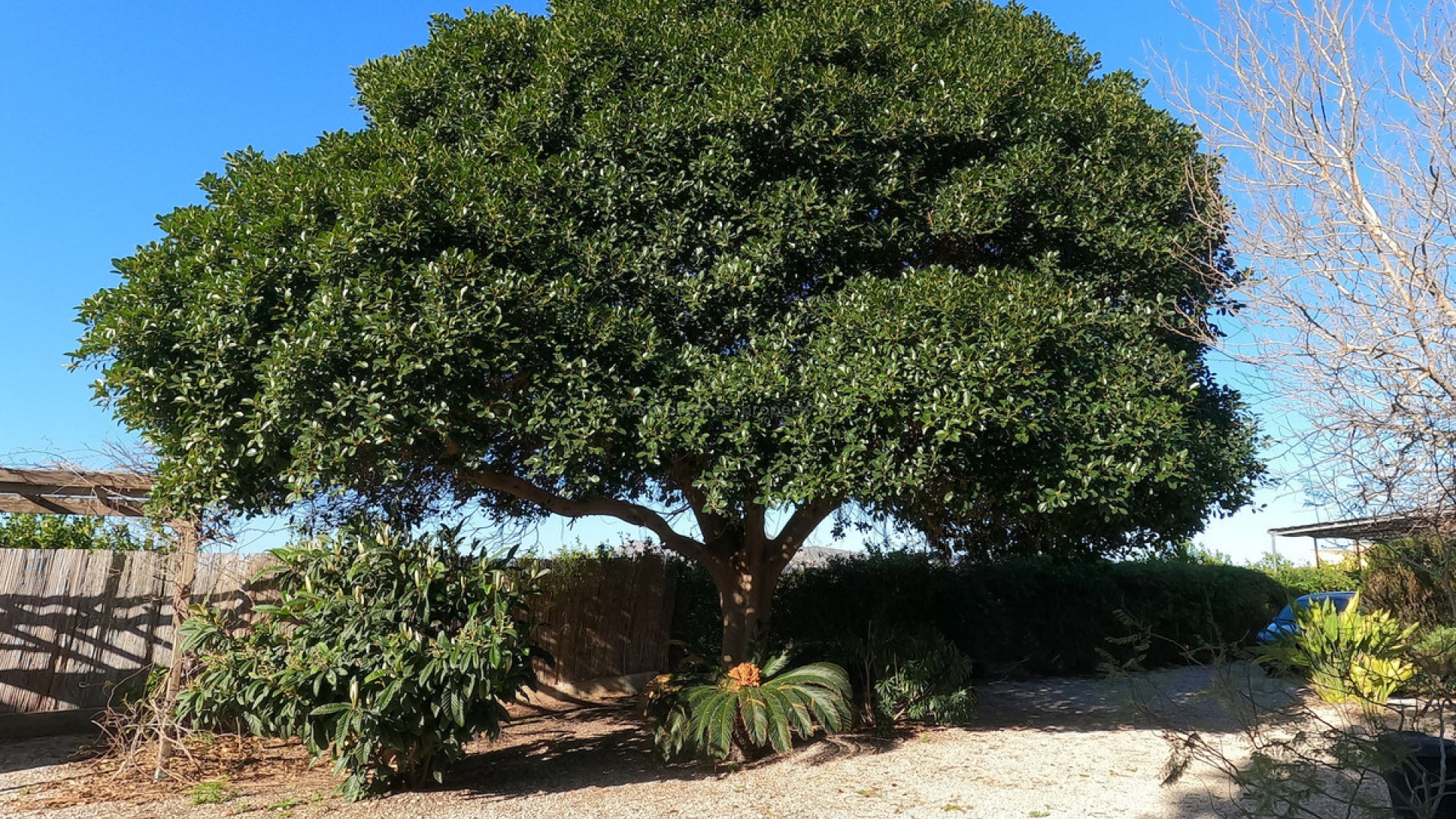 Landsted i La Campaneta