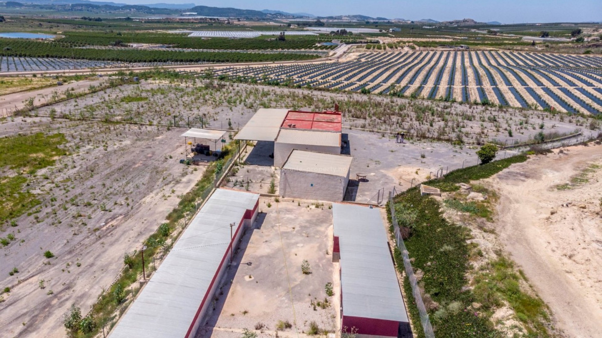 Landsted i Los Montesinos Centro