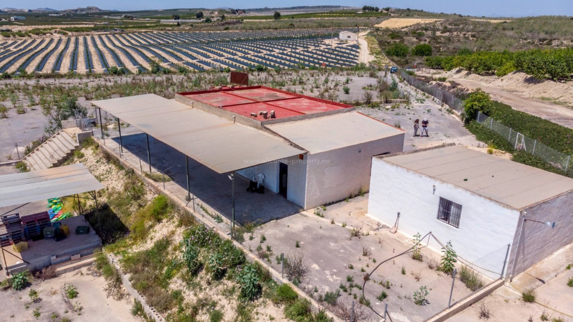 Landsted i Los Montesinos Centro