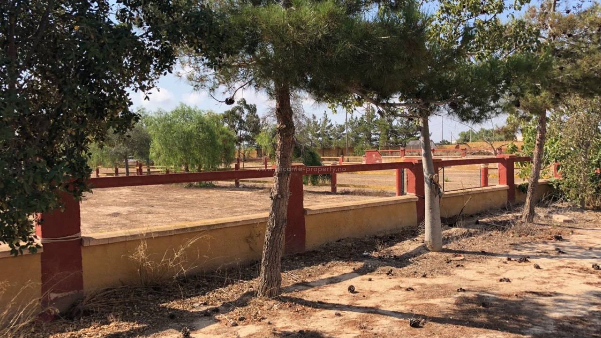 Landsted i Los Montesinos