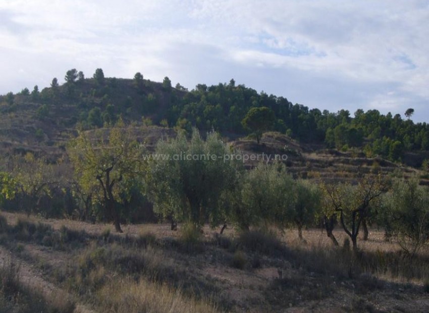 Landsted i Macisvenda