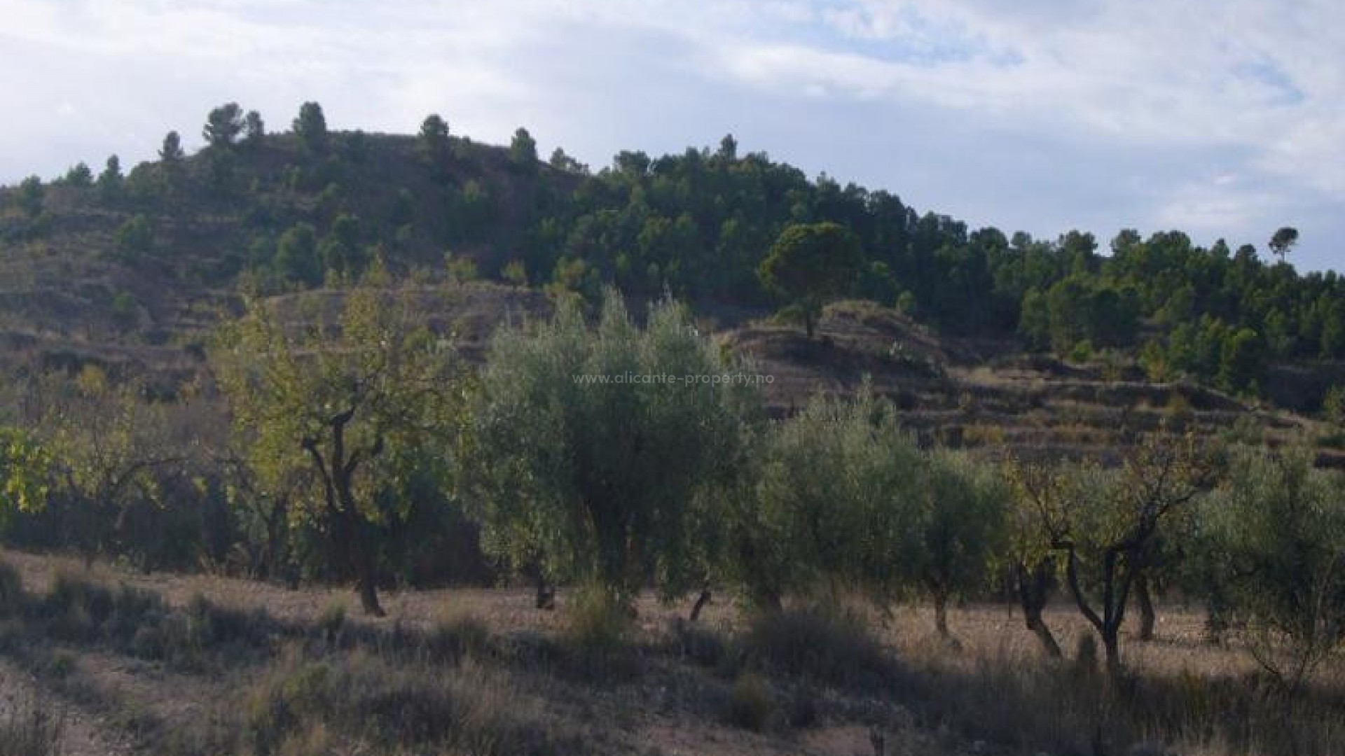 Landsted i Macisvenda