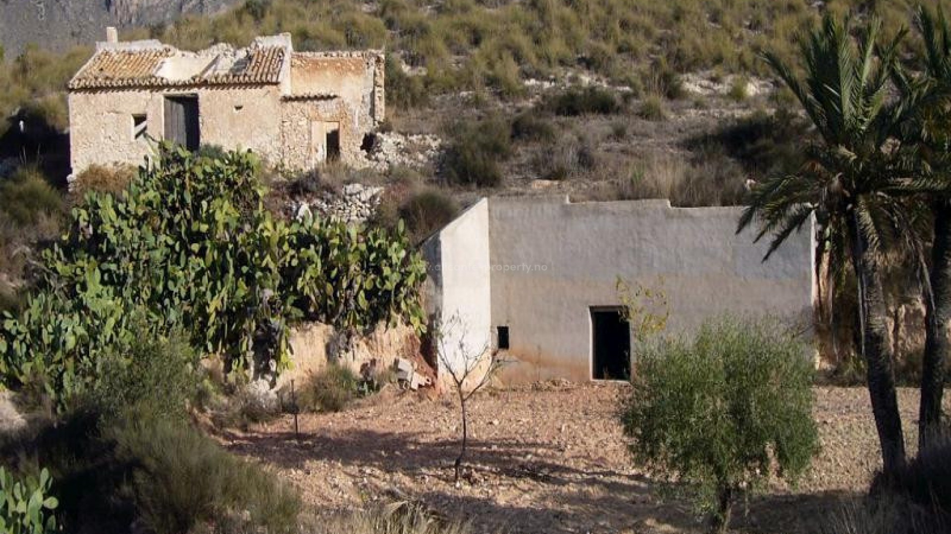 Landsted i Macisvenda