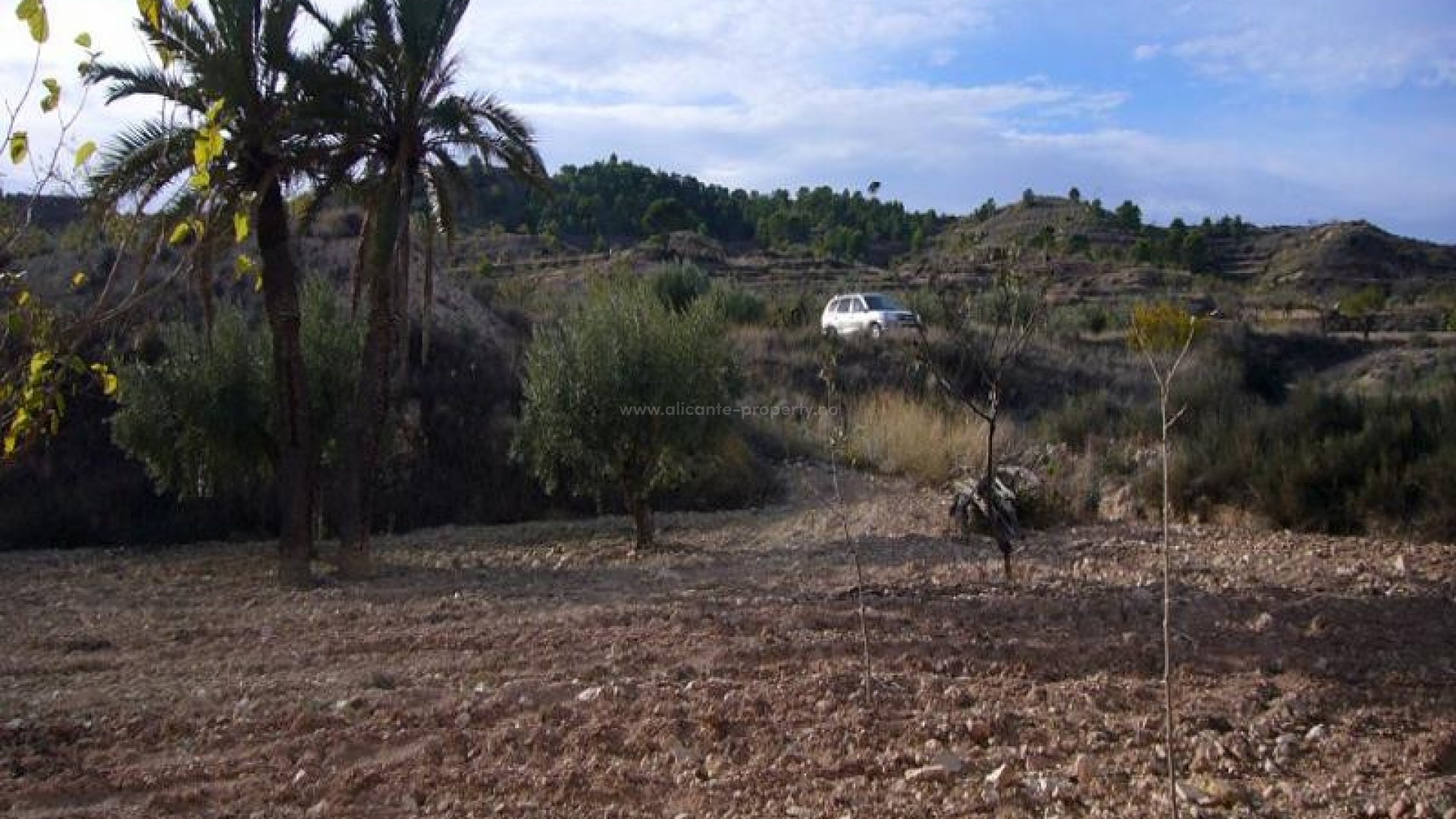 Landsted i Macisvenda