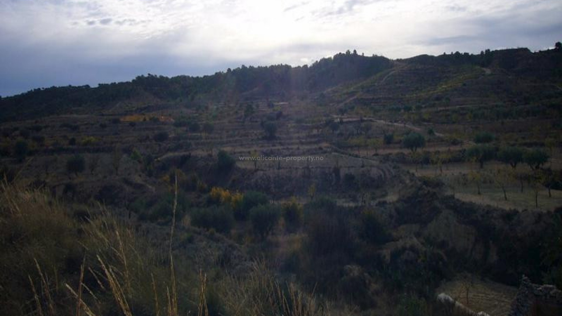 Landsted i Macisvenda