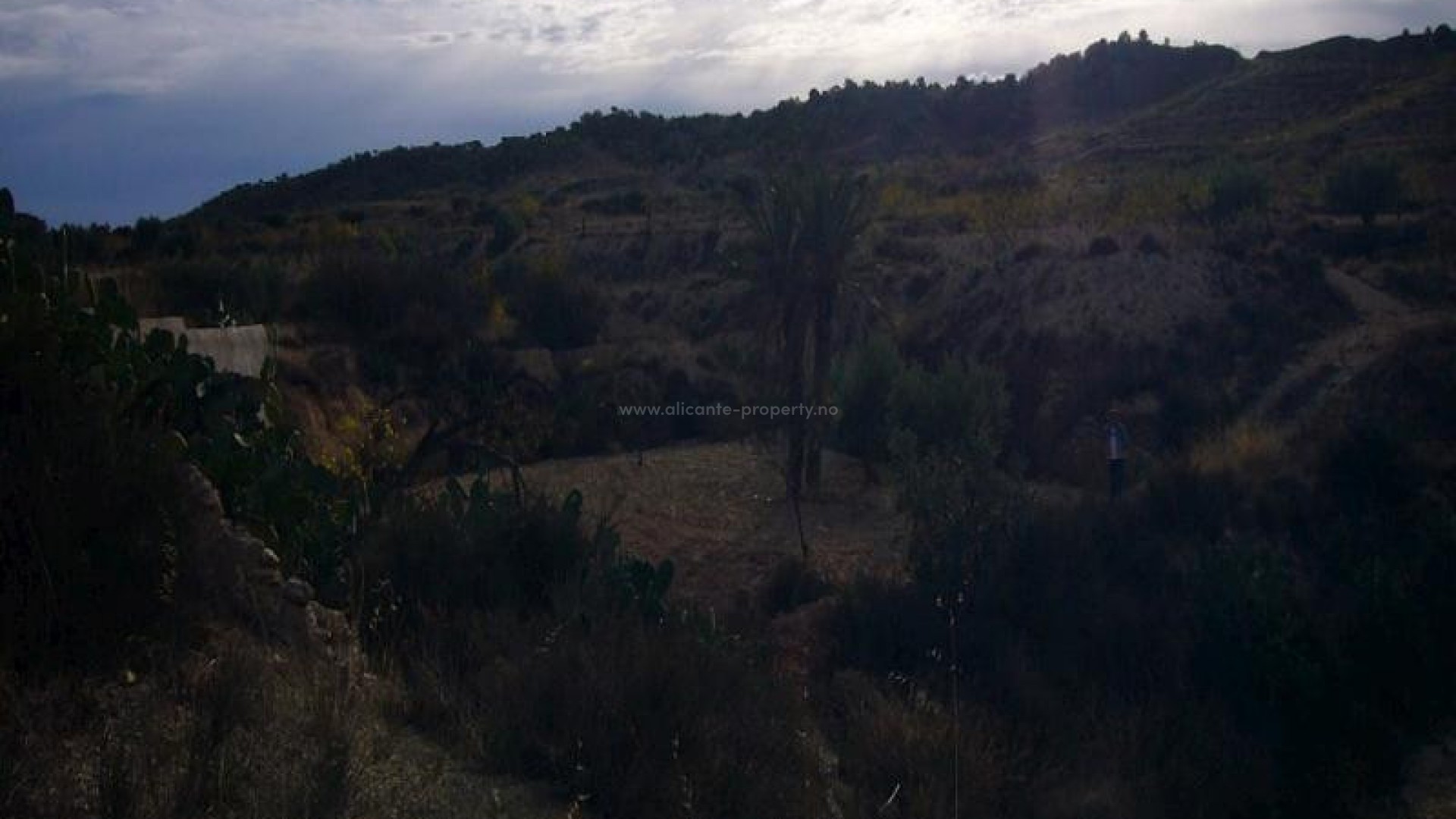 Landsted i Macisvenda