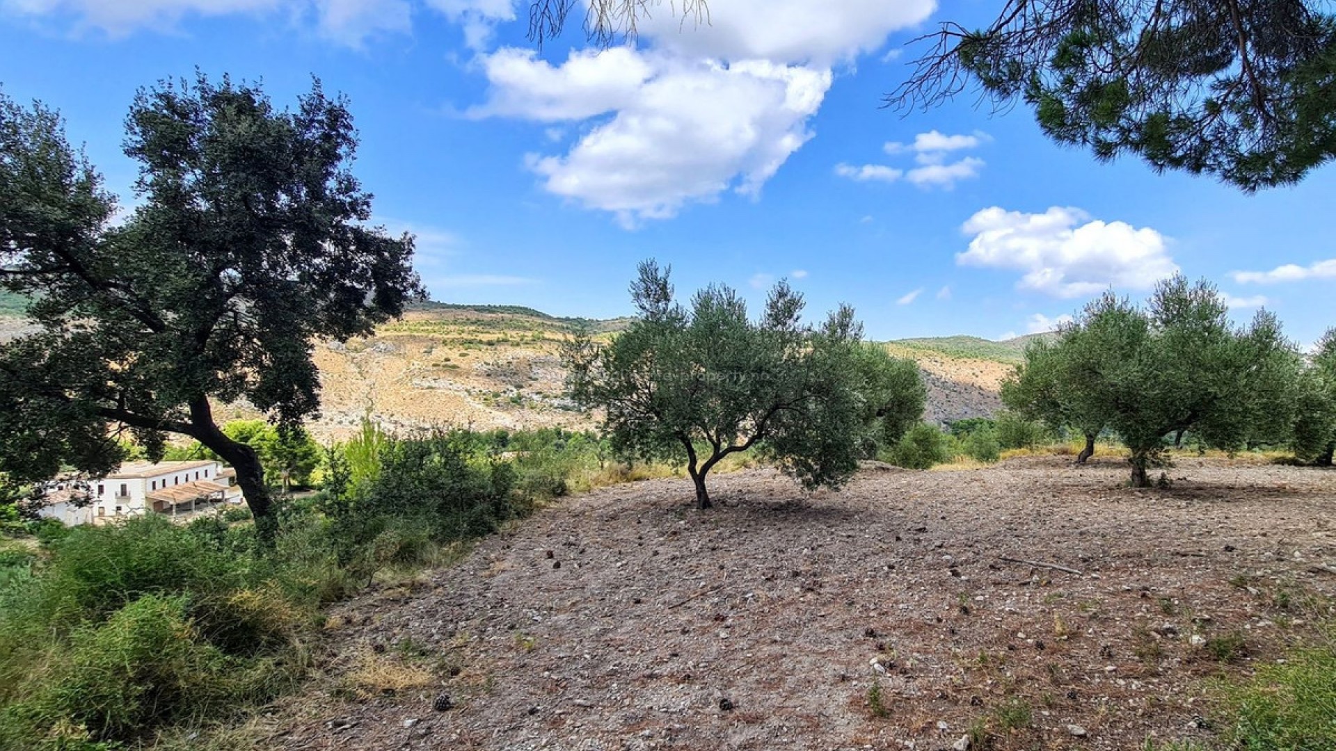 Landsted i Muro de Alcoy Centro