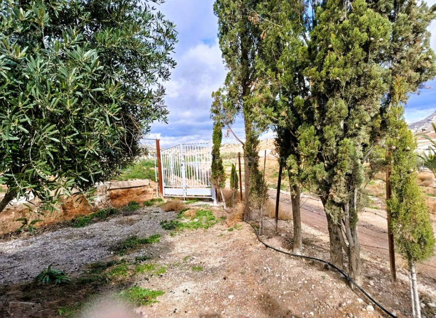 Landsted i Novelda Centro