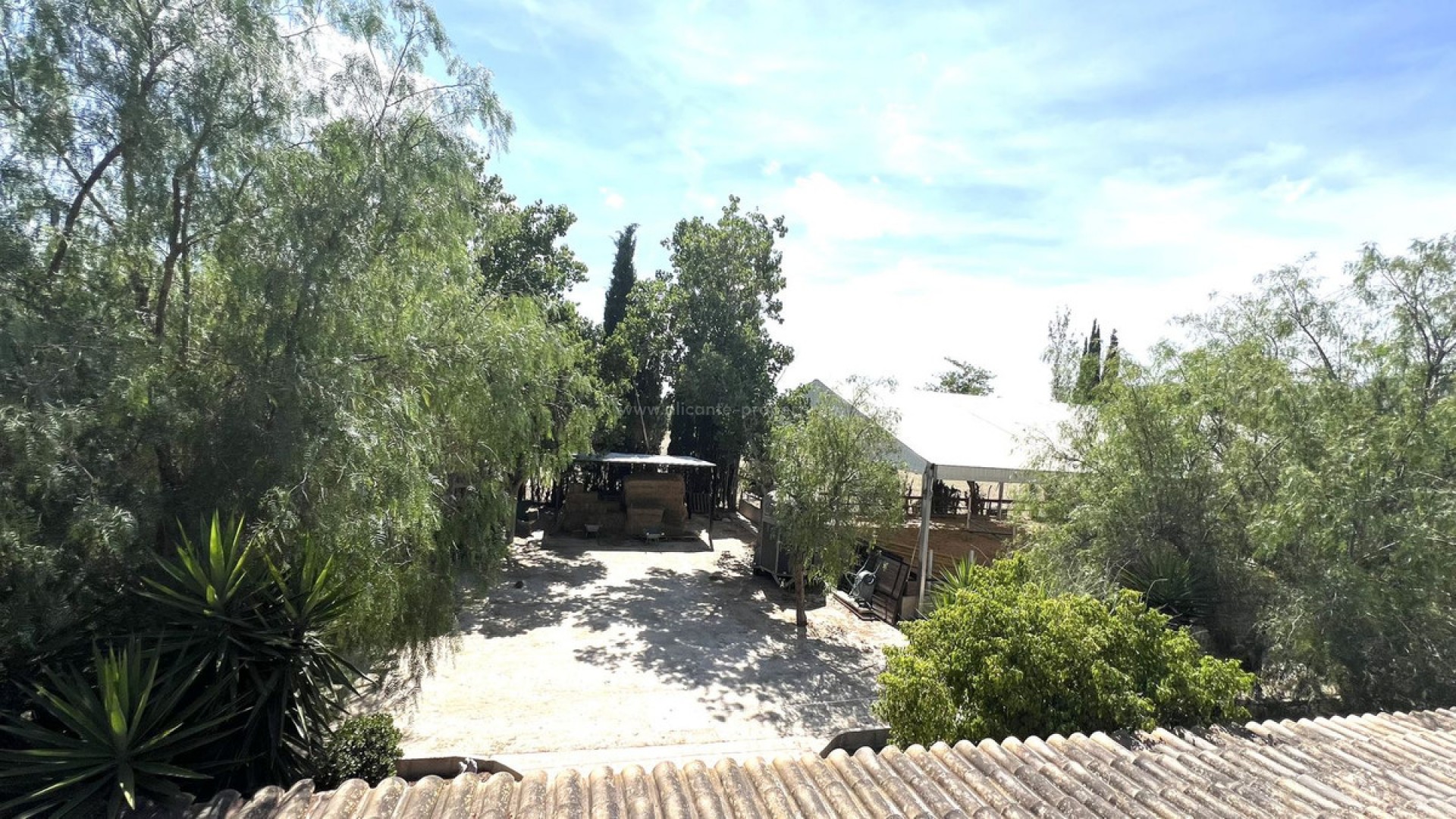 Landsted i Orihuela Centro