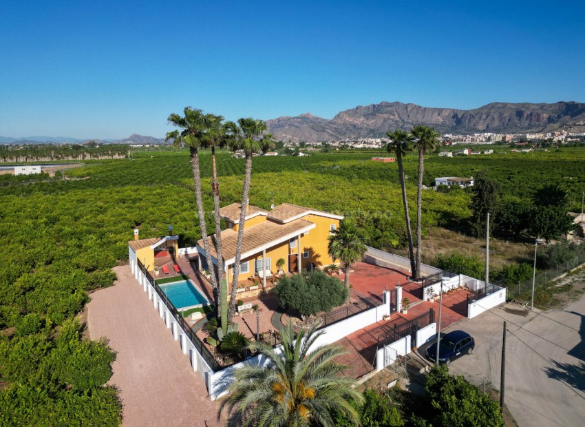 Landsted i Orihuela Centro