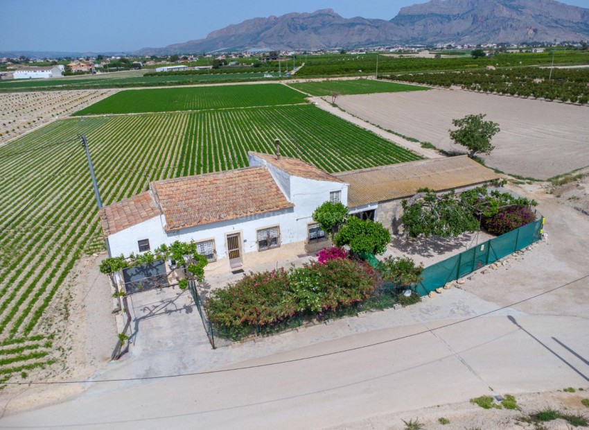 Landsted i Orihuela Centro