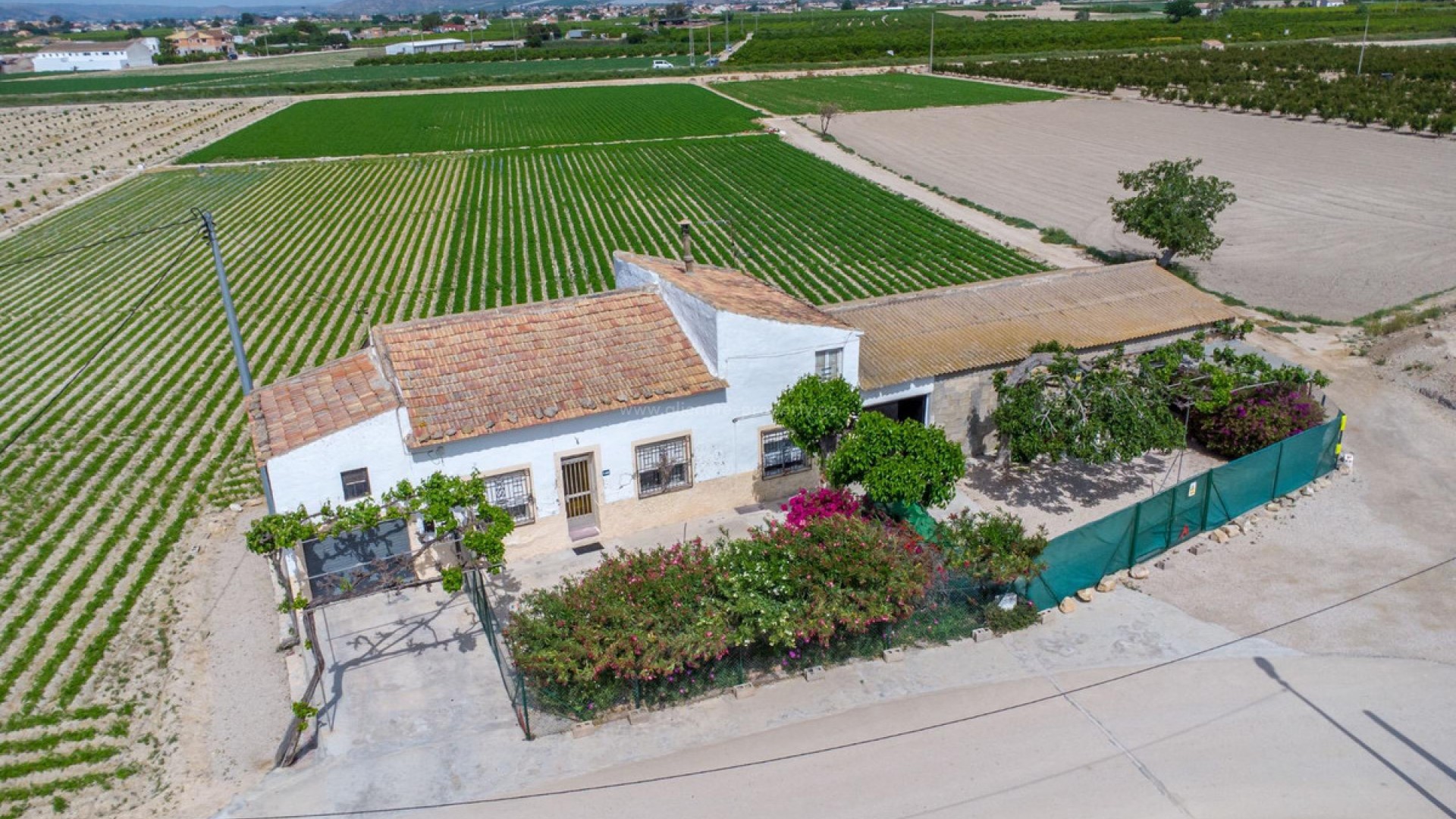 Landsted i Orihuela Centro