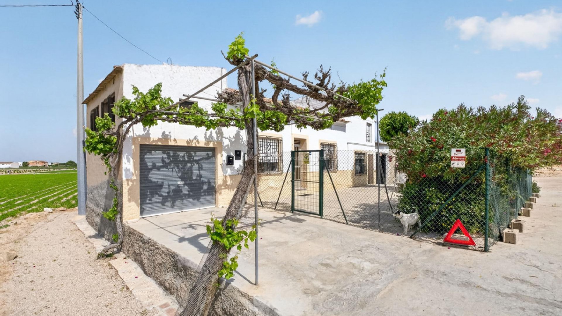 Landsted i Orihuela Centro
