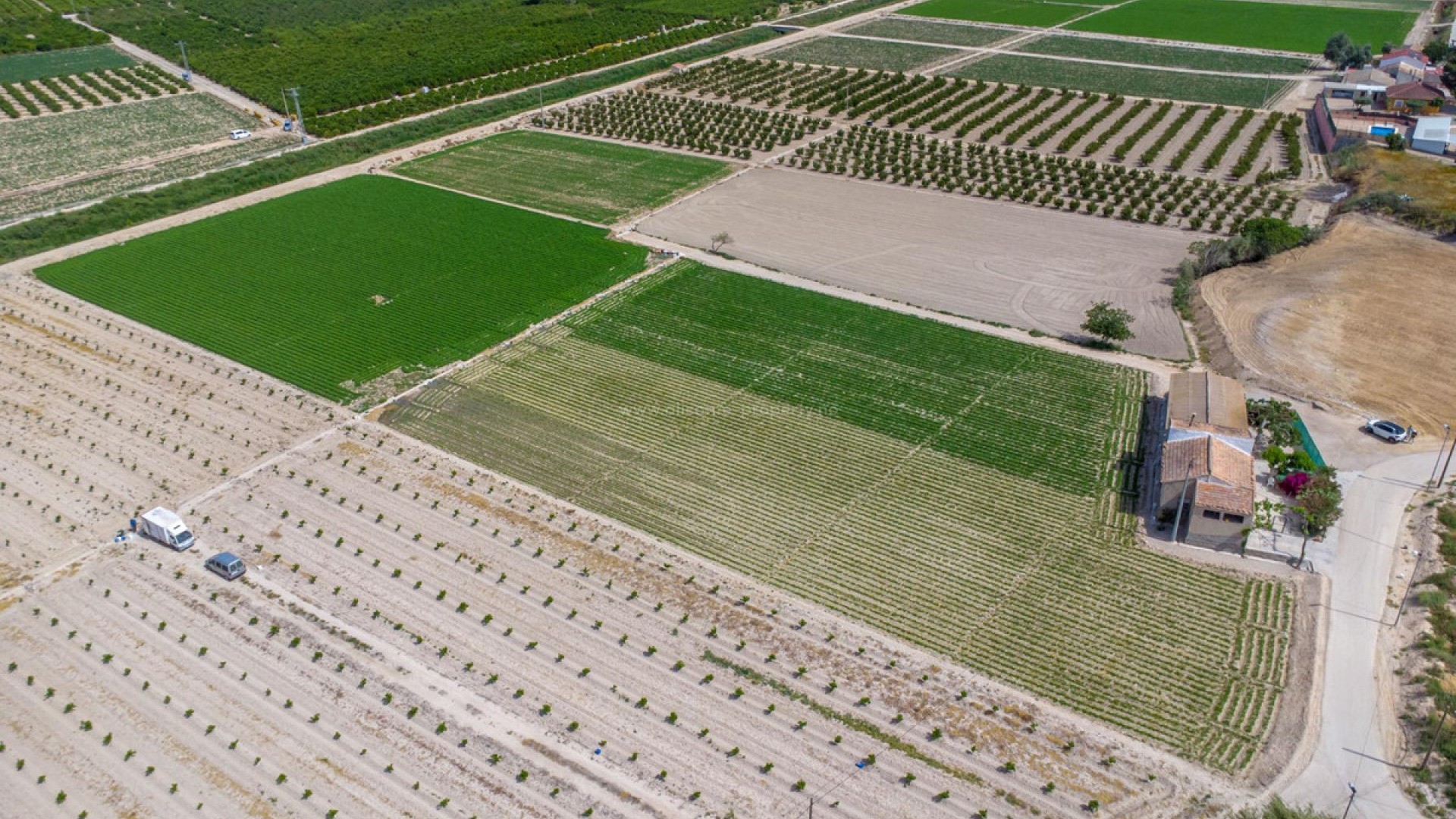 Landsted i Orihuela Centro
