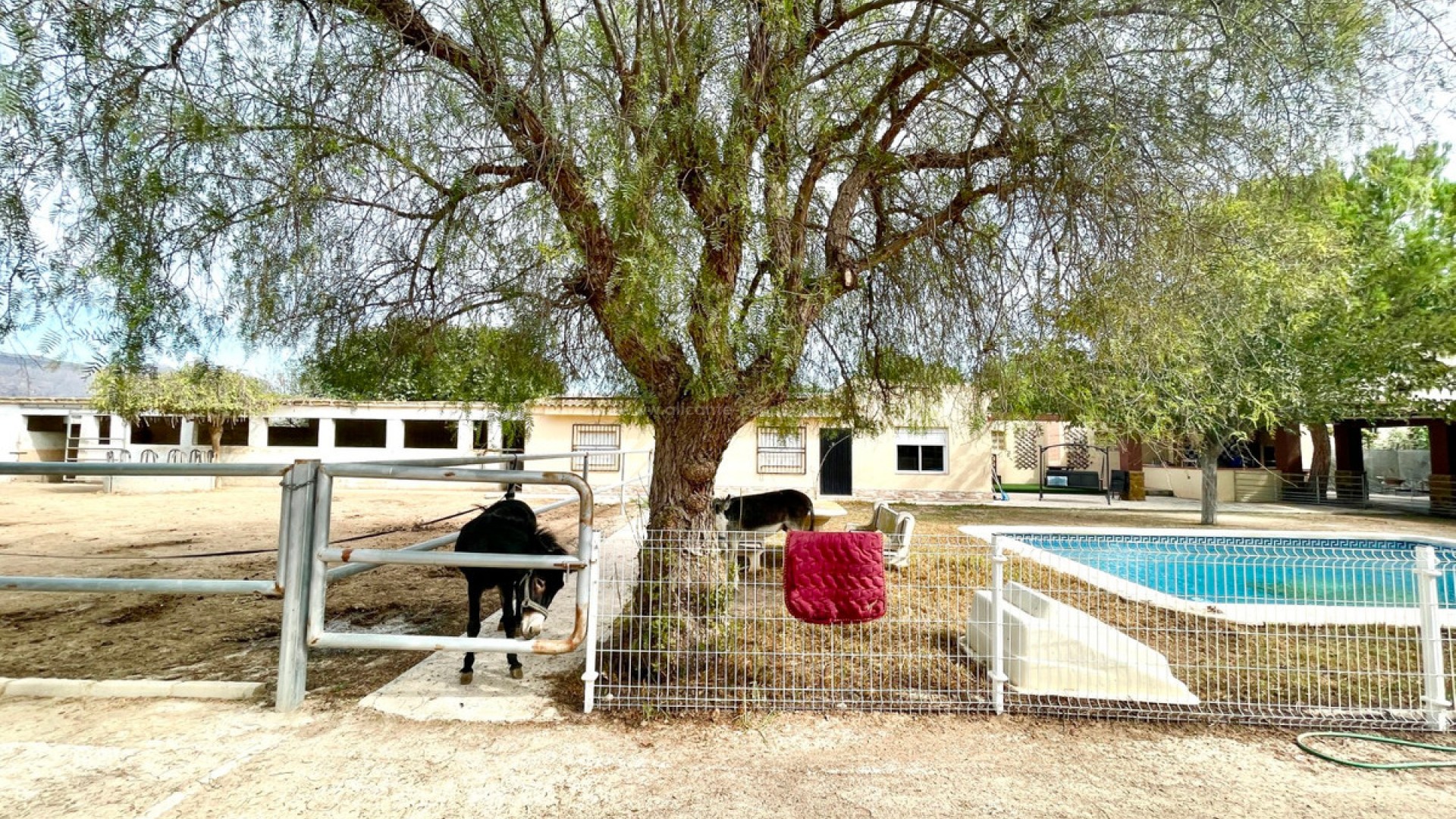 Landsted i Orihuela Centro