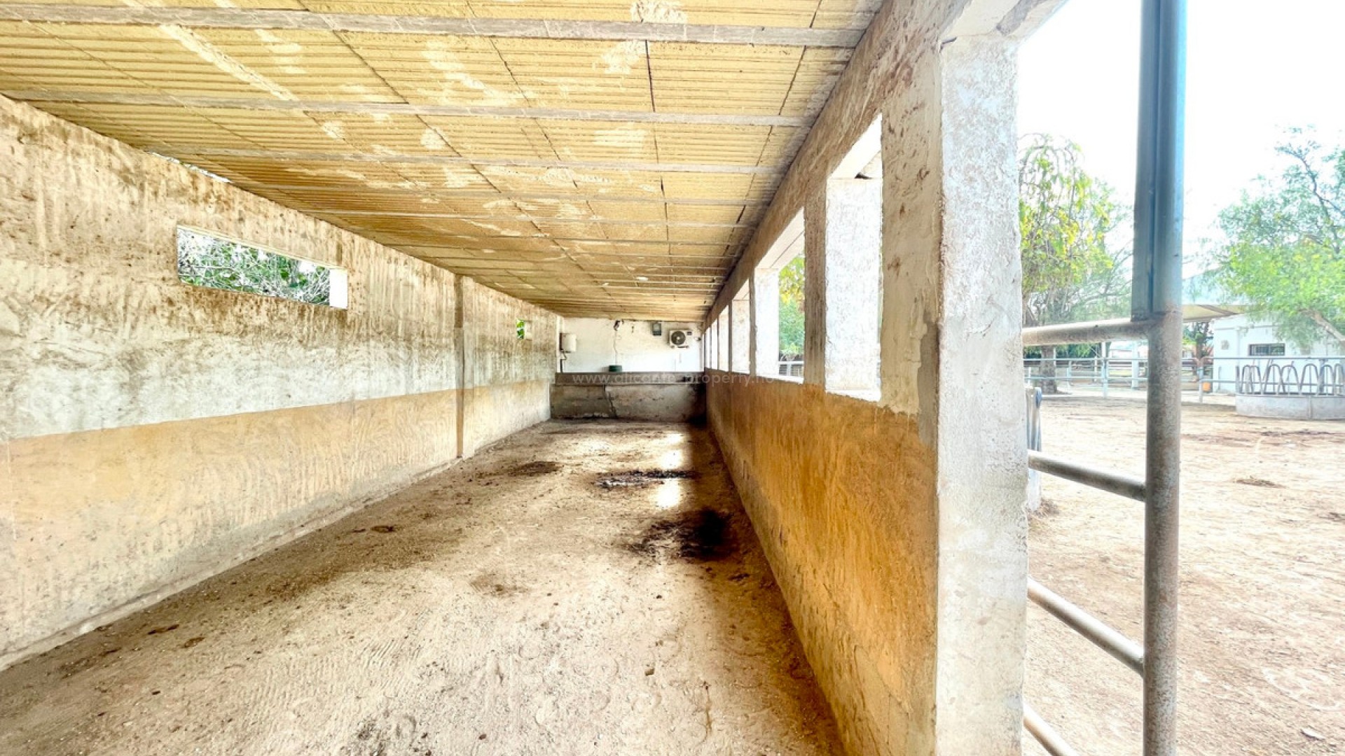 Landsted i Orihuela Centro