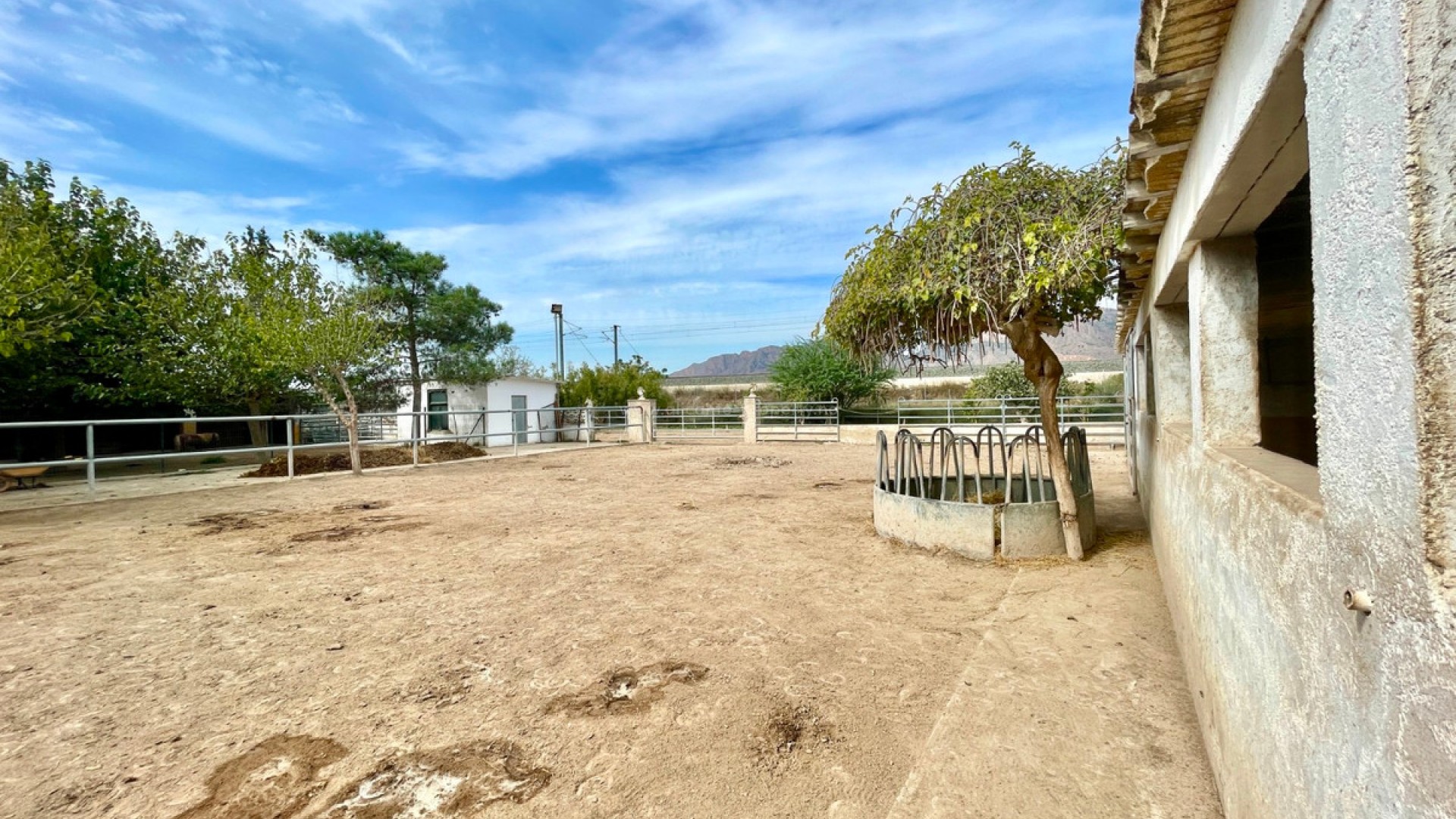 Landsted i Orihuela Centro