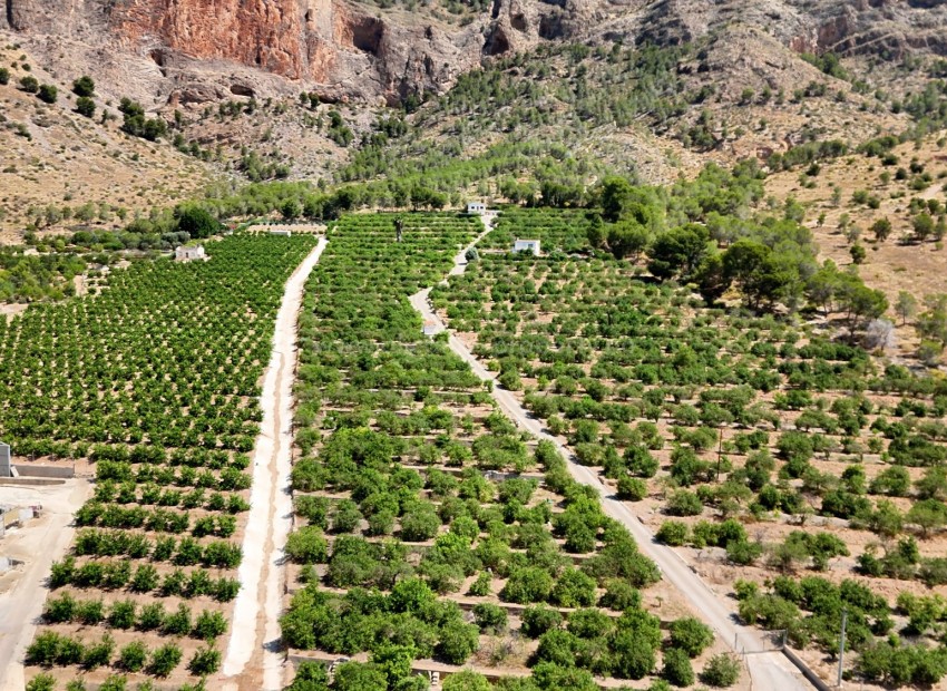 Landsted i Orihuela
