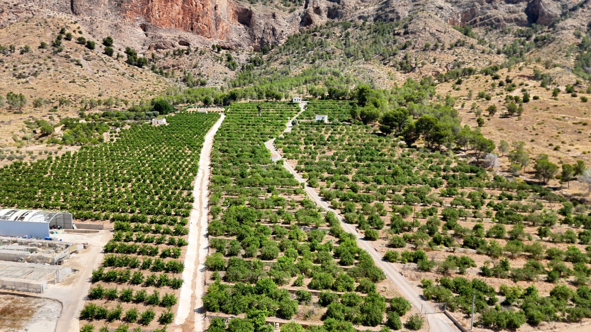 Landsted i Orihuela