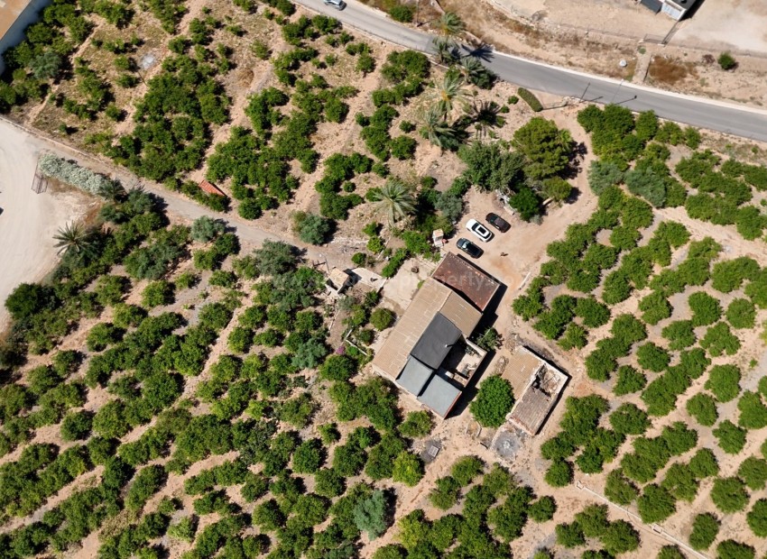 Landsted i Orihuela