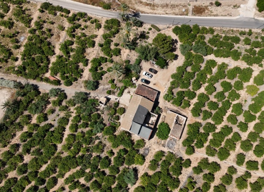 Landsted i Orihuela