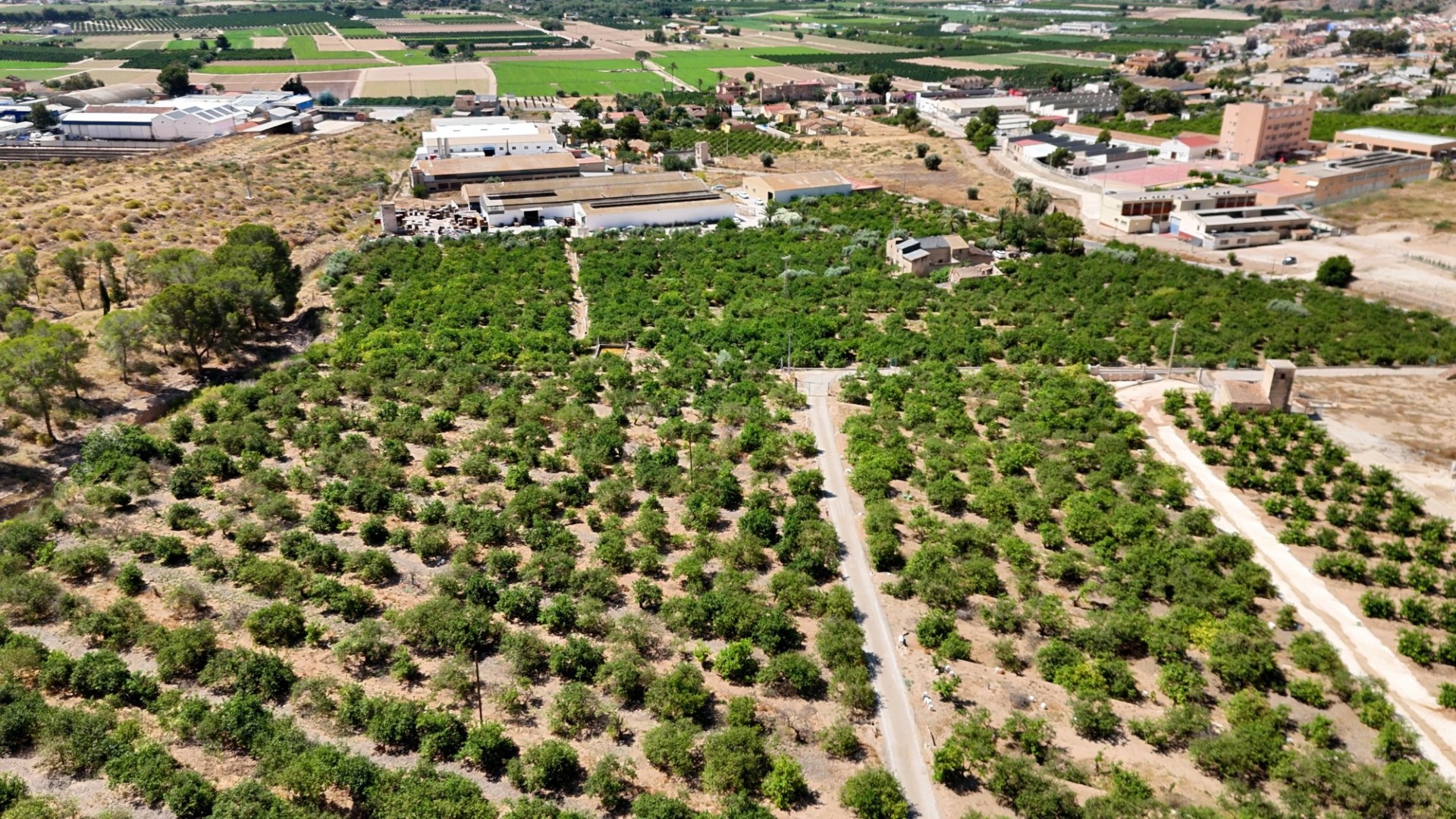 Landsted i Orihuela