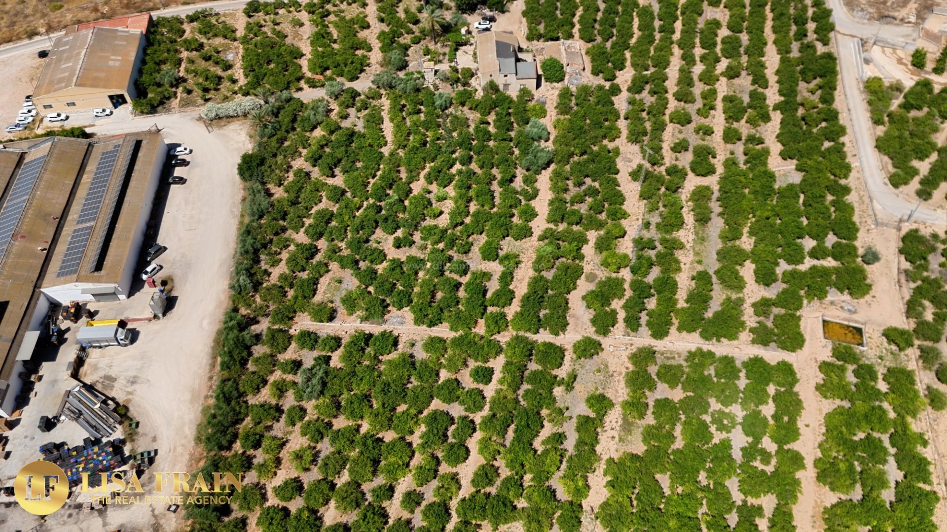 Landsted i Orihuela