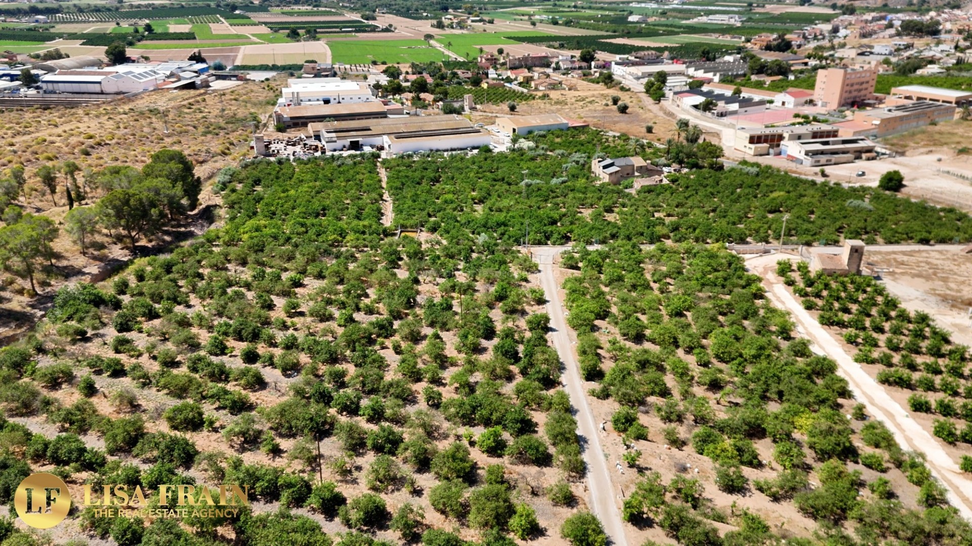 Landsted i Orihuela
