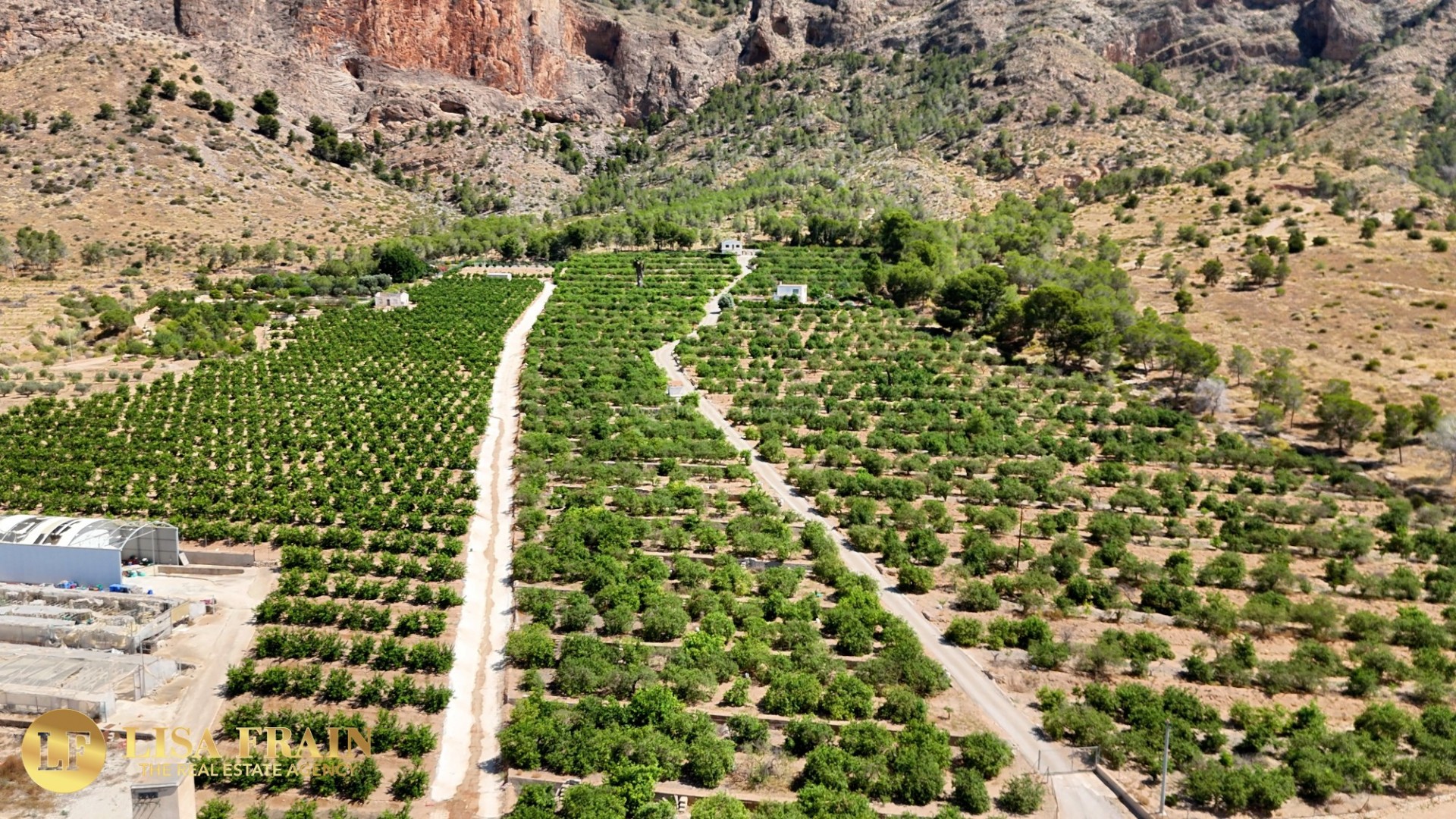 Landsted i Orihuela