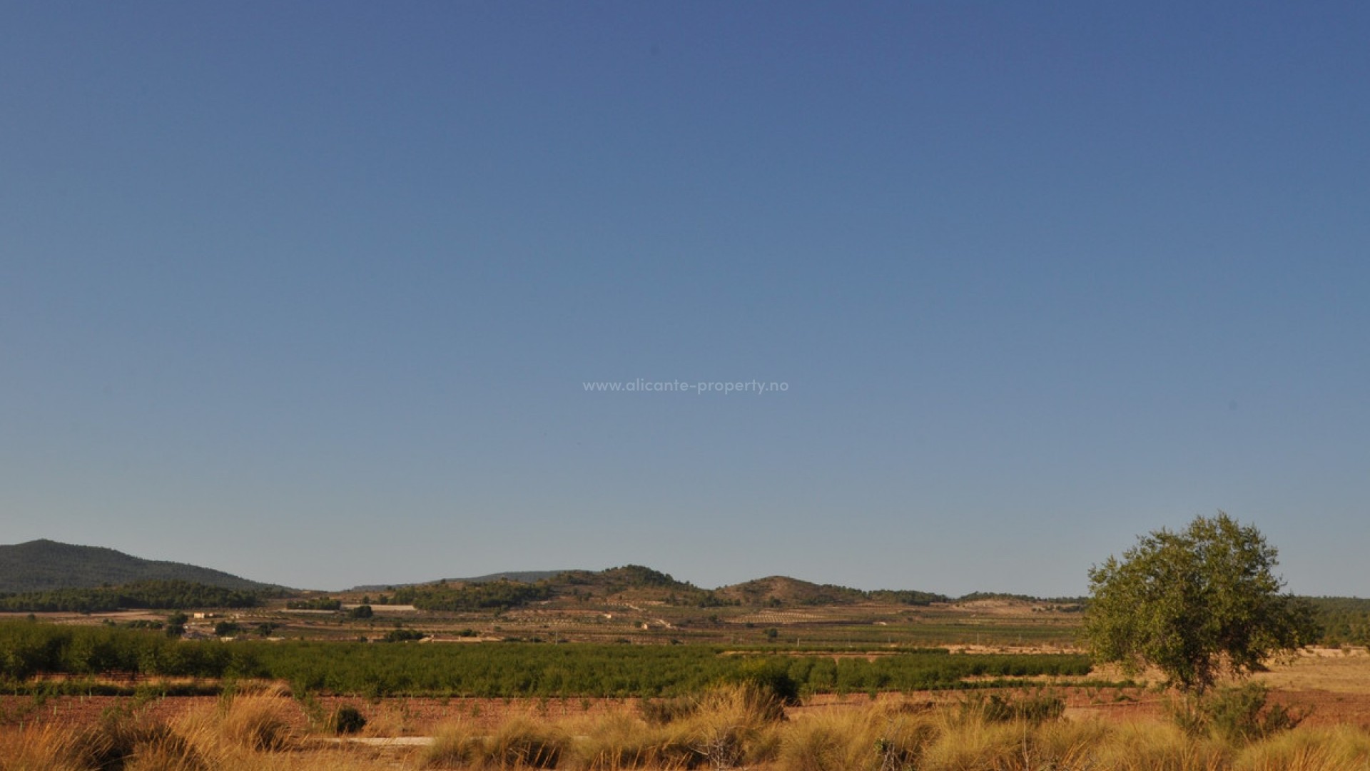 Landsted i Pinoso Centro