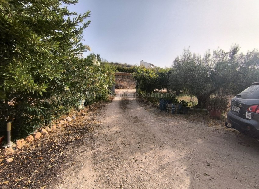 Landsted i Pinoso Centro