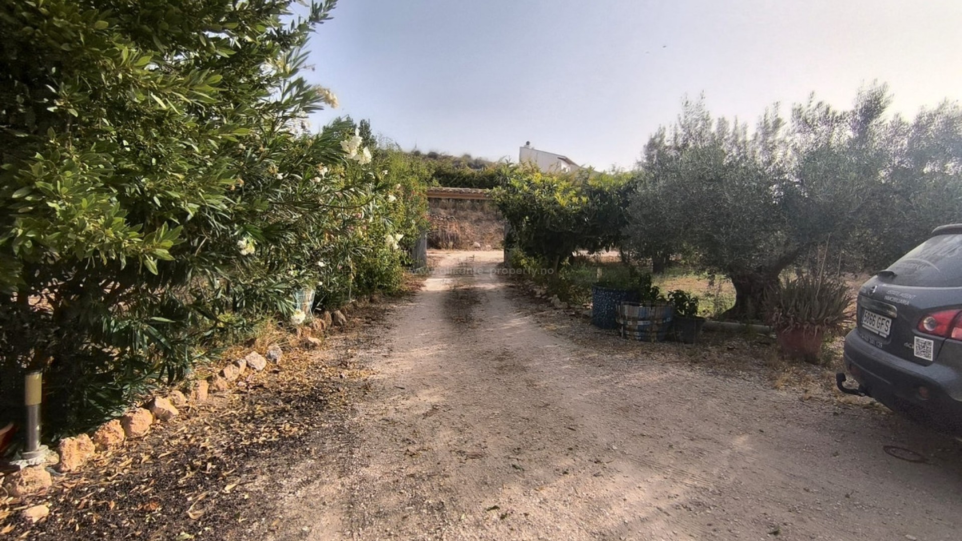 Landsted i Pinoso Centro