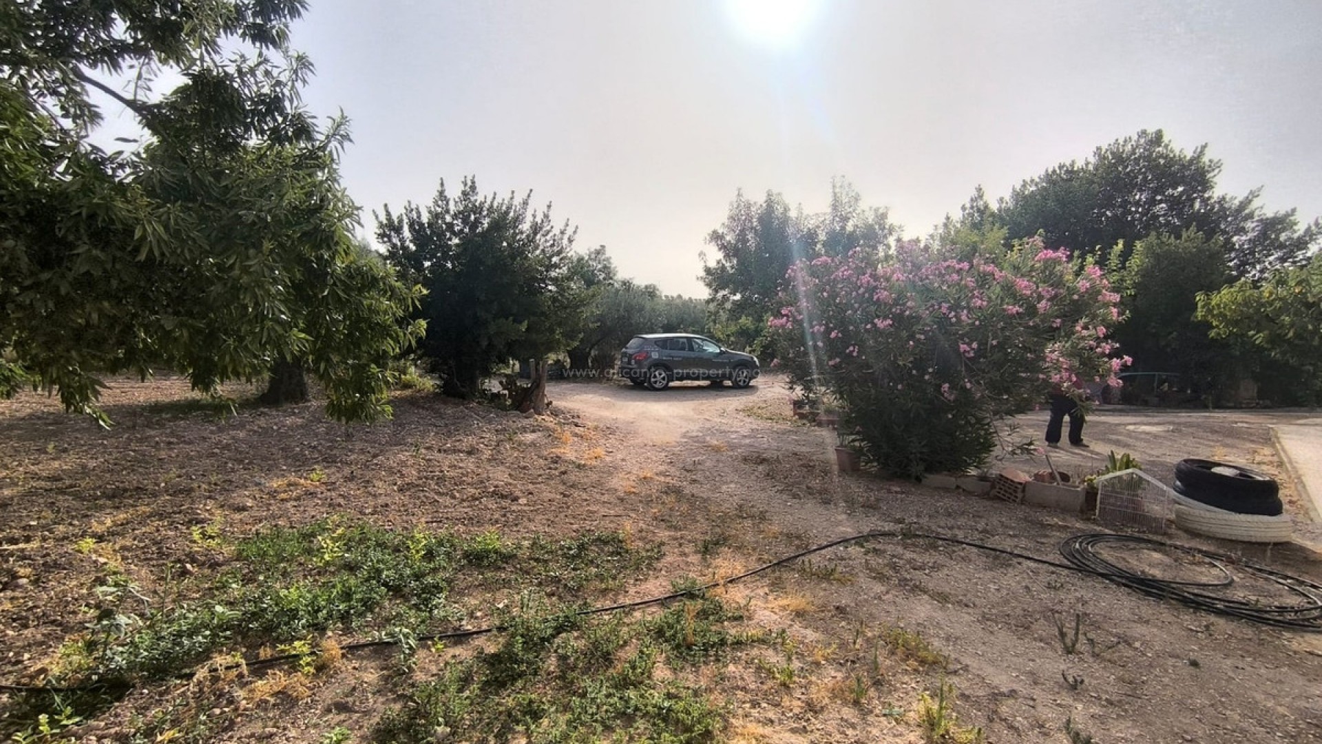 Landsted i Pinoso Centro