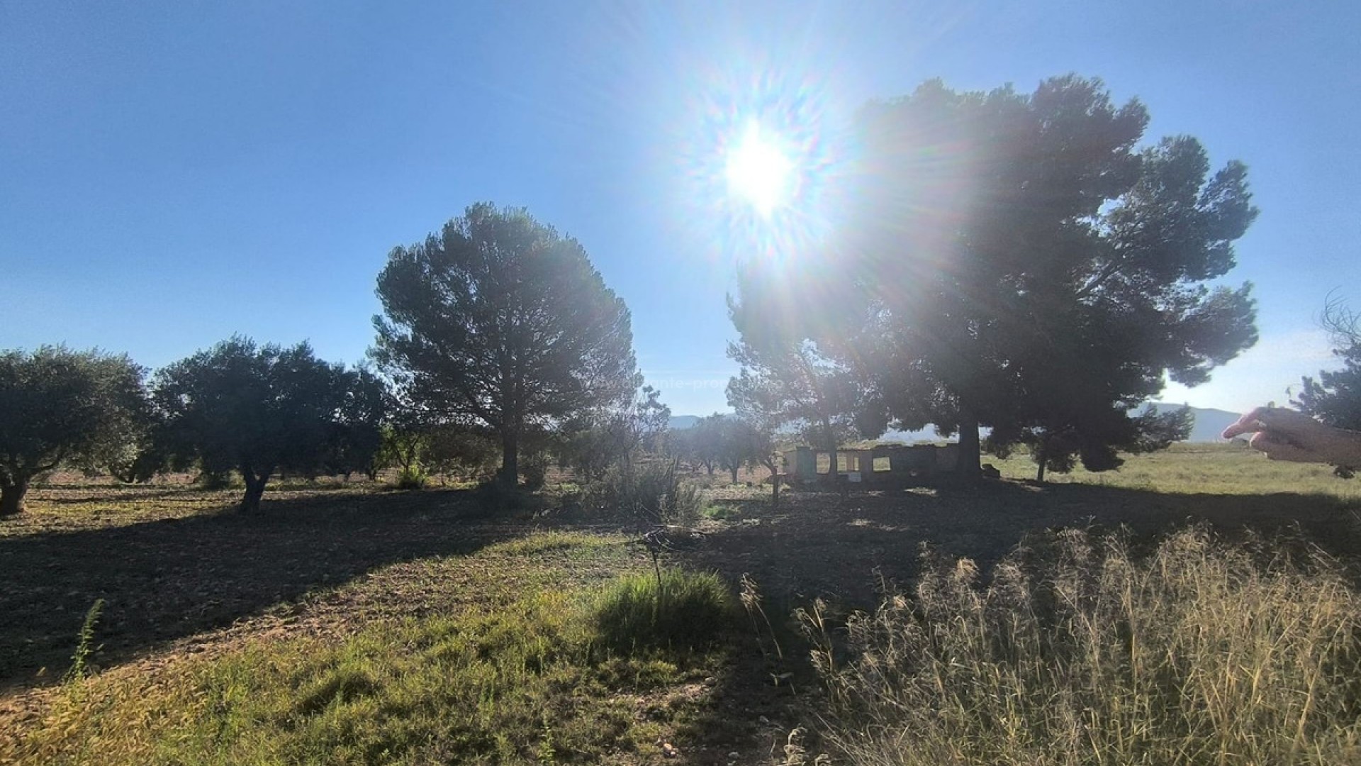 Landsted i Pinoso Centro