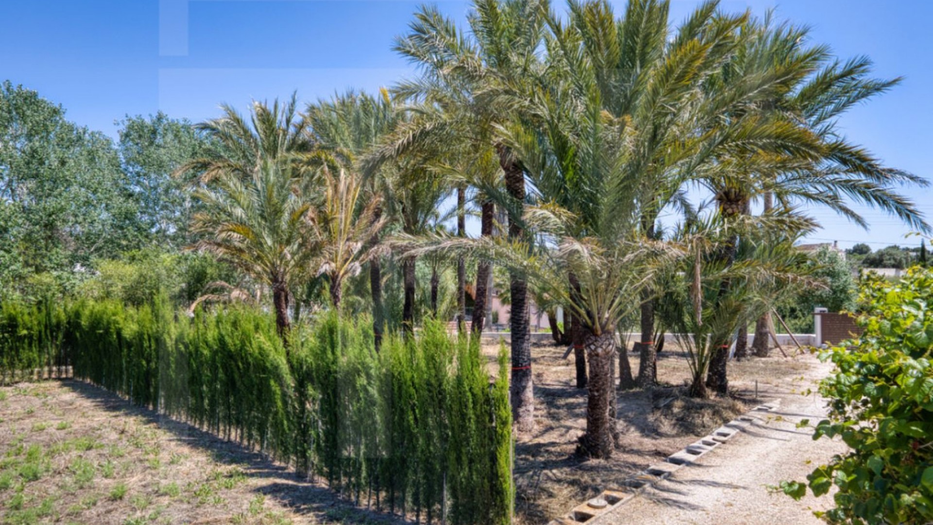 Landsted i Teulada Centro