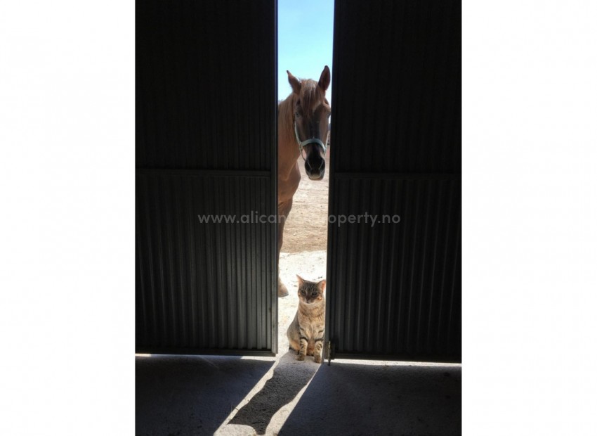 Landsted i Torre del Rico