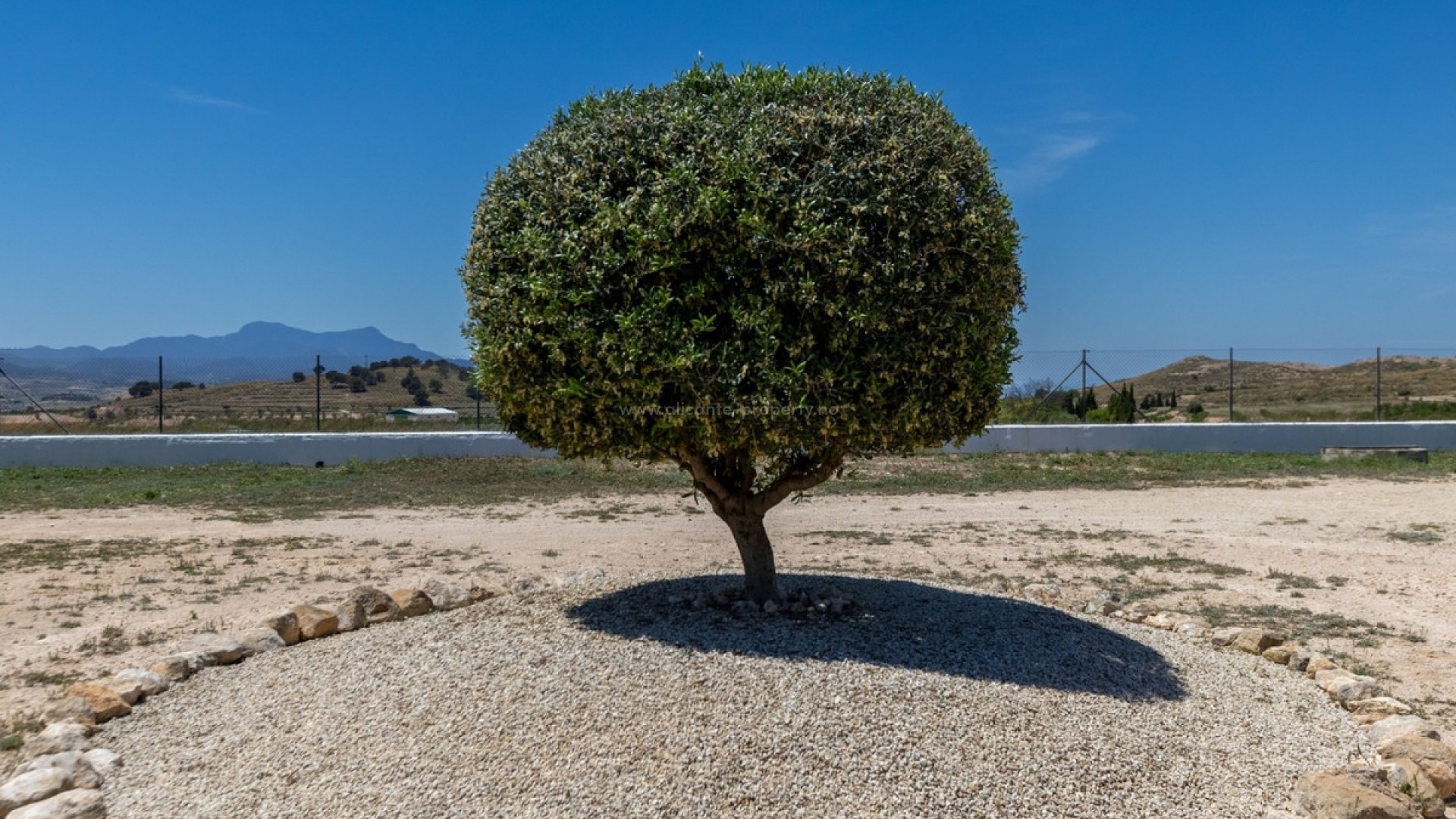 Landsted i Torre del Rico