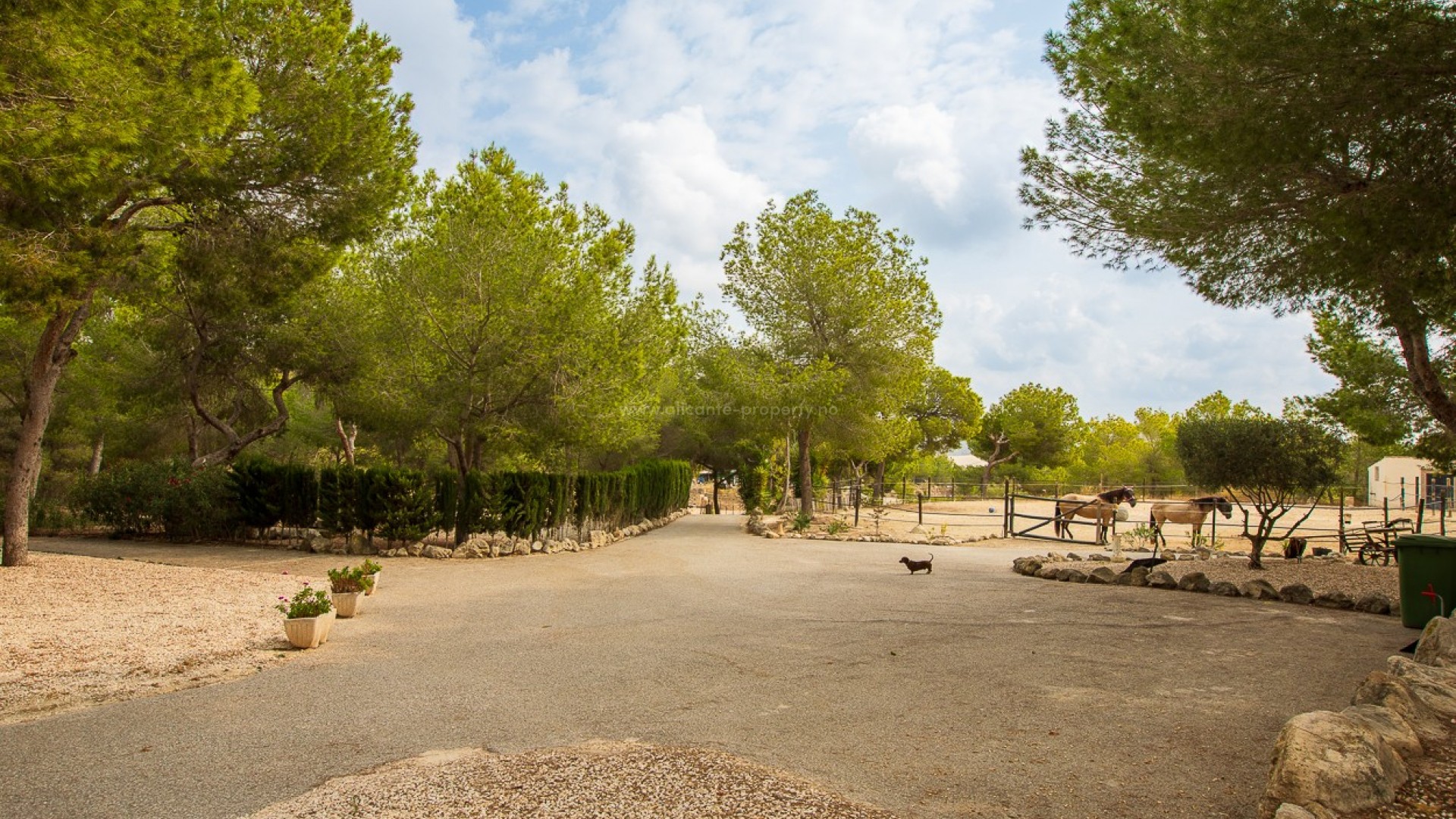 Landsted i Torremendo