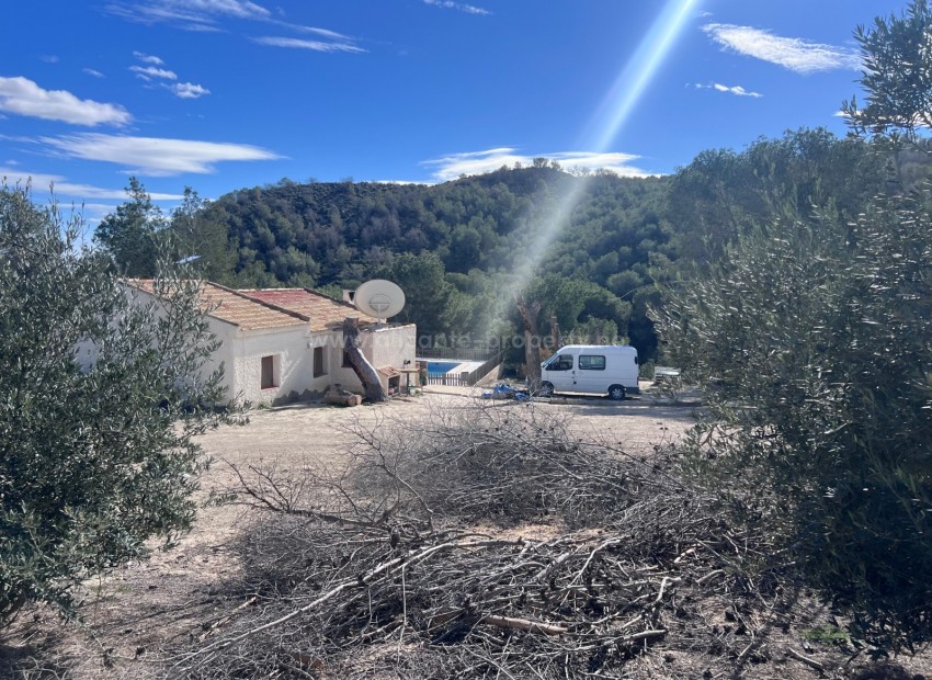 Landsted i Torremendo