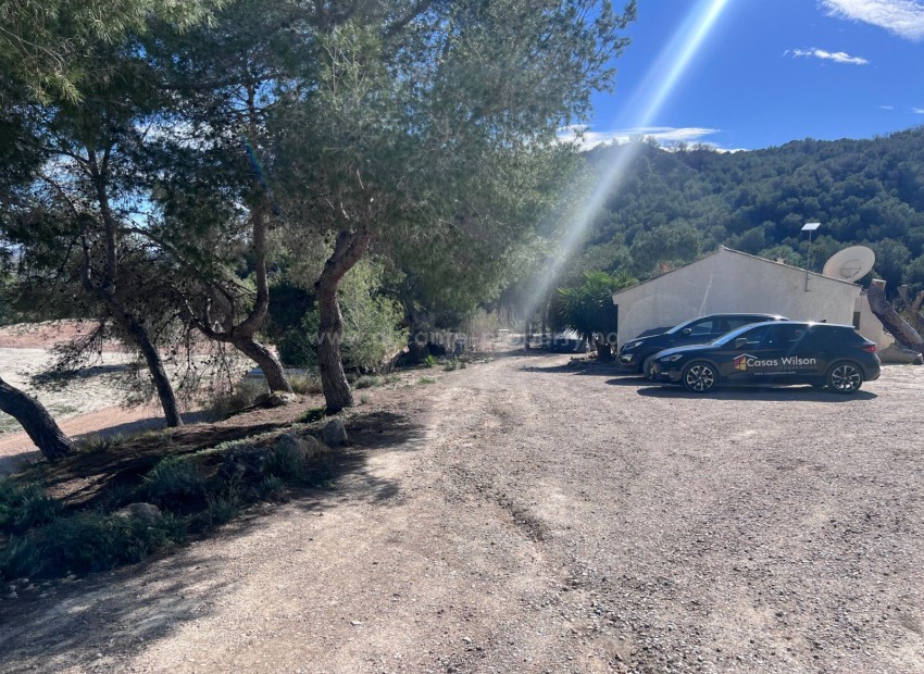 Landsted i Torremendo