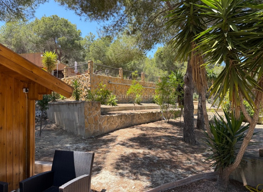 Landsted i Torremendo