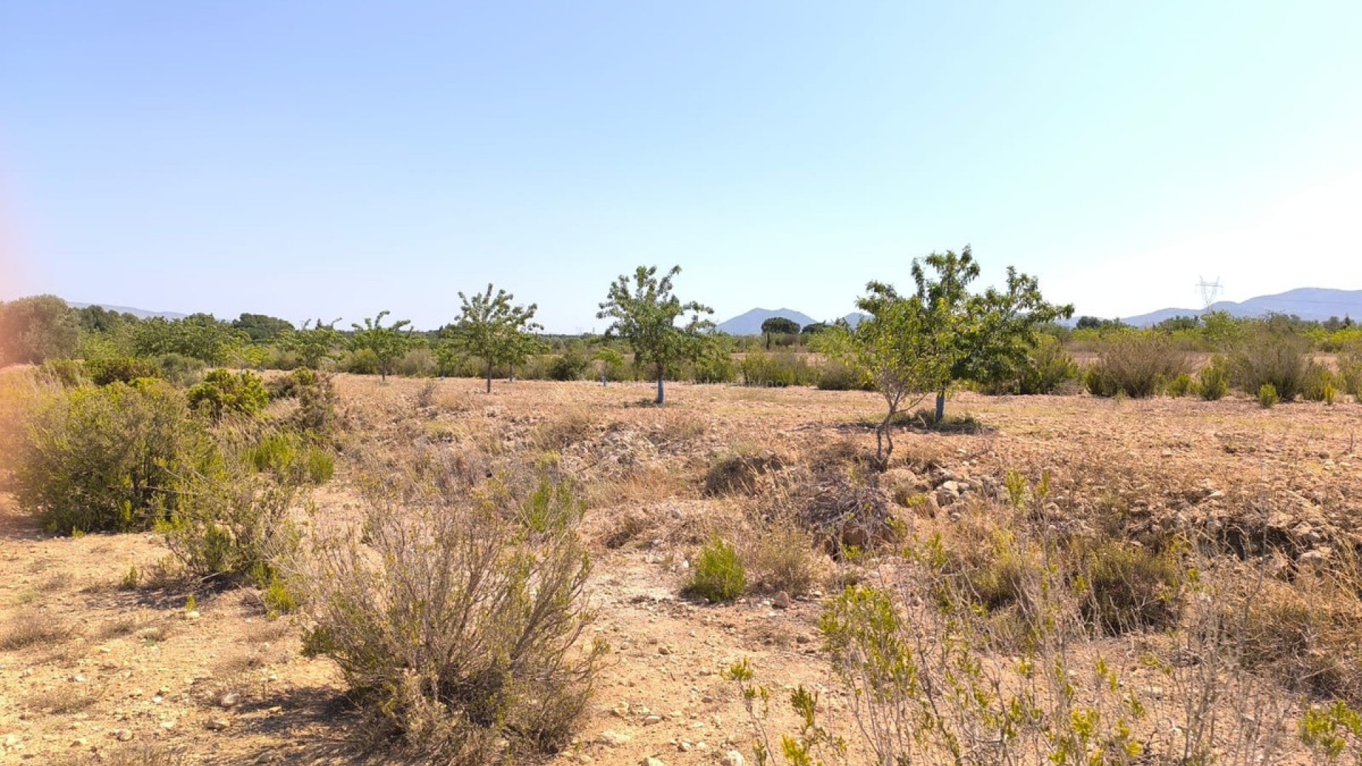 Landsted i Villena Centro