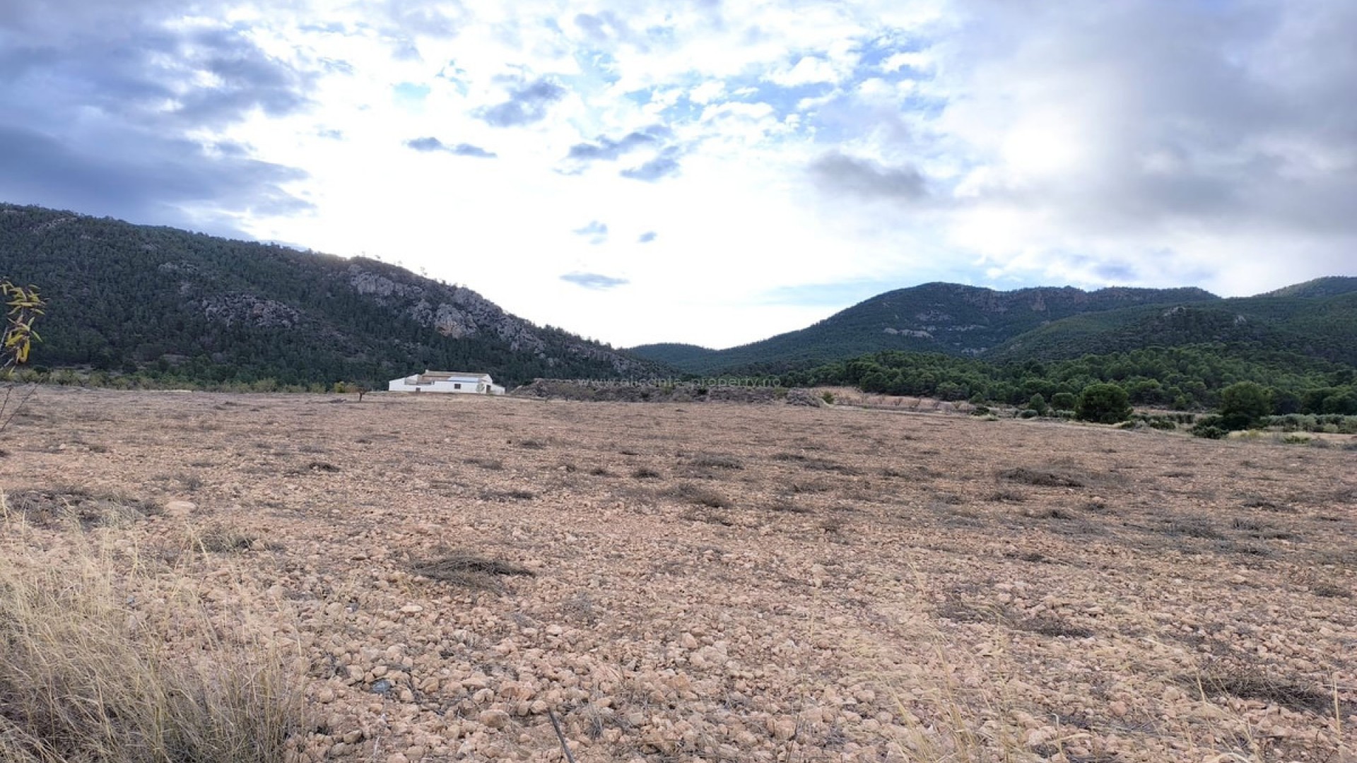 Landsted i Yecla Centro