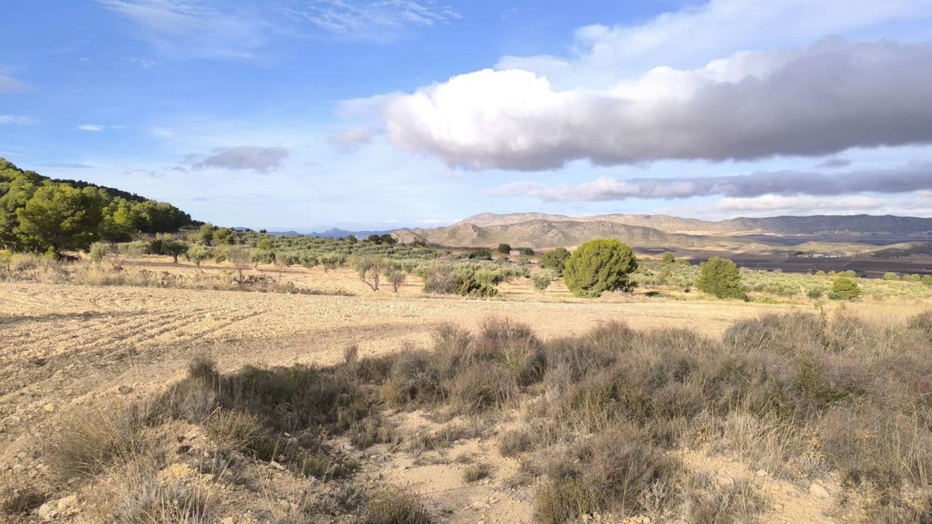 Landsted i Yecla Centro