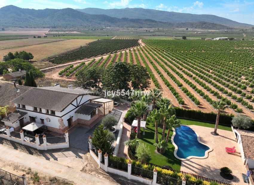 Landsted i Yecla Centro