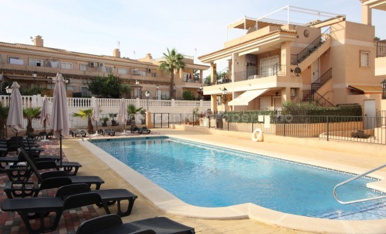 Leilighet / leilighet - Brukt bolig - Algorfa -
                Montemar